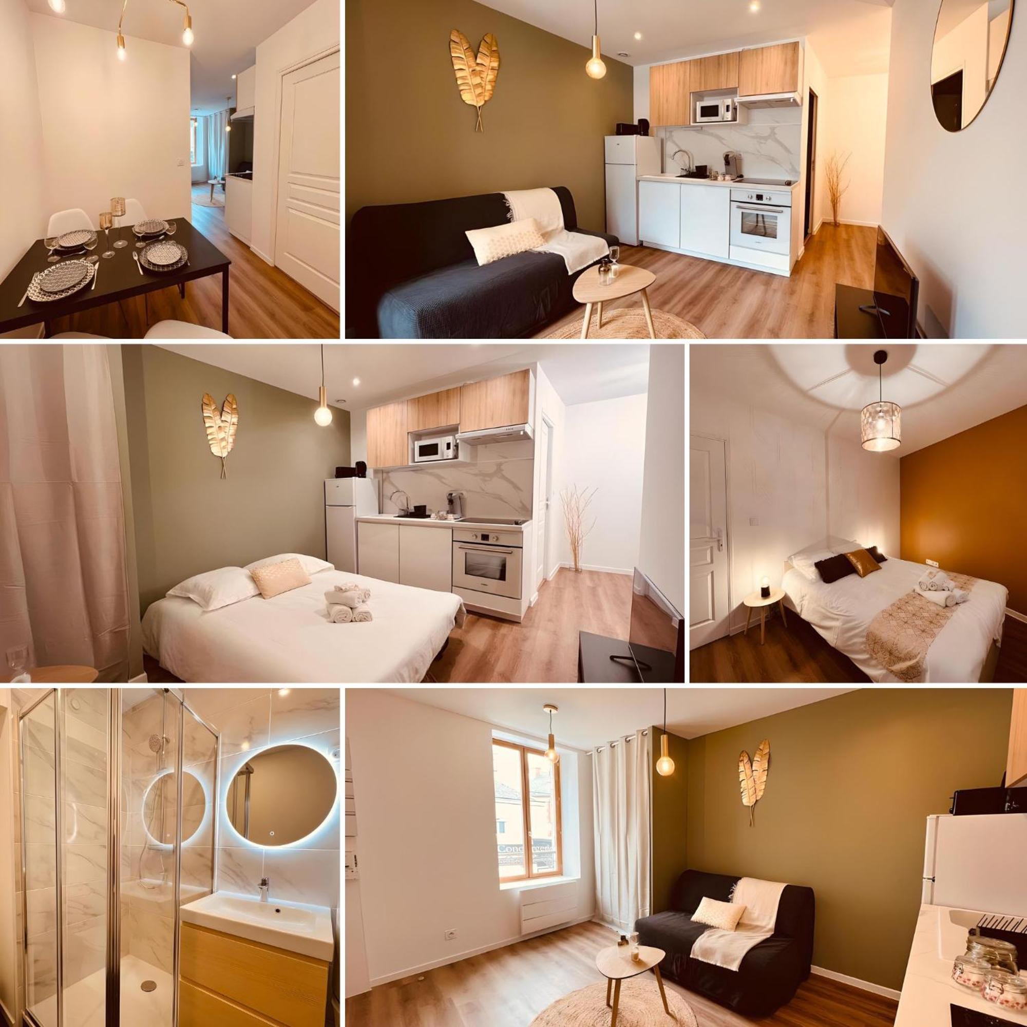 Le Golden - Home Homy Vierzon Bagian luar foto